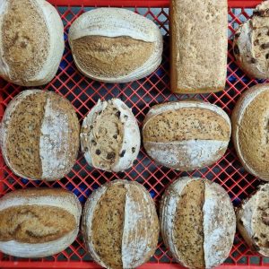 Sourdough