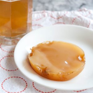 Kombucha Starter